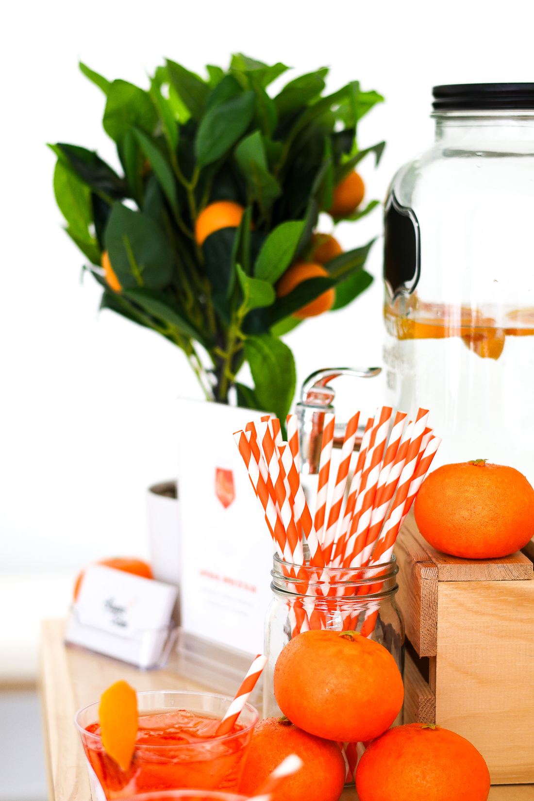 styled cocktail bar — Sugar On The Rim mobile bar in New Jersey